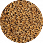 Scottish Pale Ale Malt