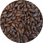 Black Malt close up of malted grains | Crisp Malt