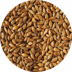 Cara Malt