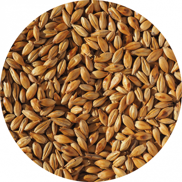 Cara Malt