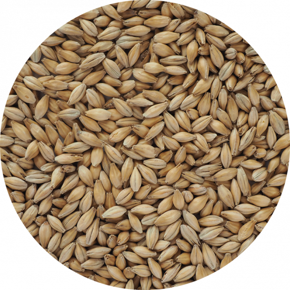 Chevallier Heritage Malt