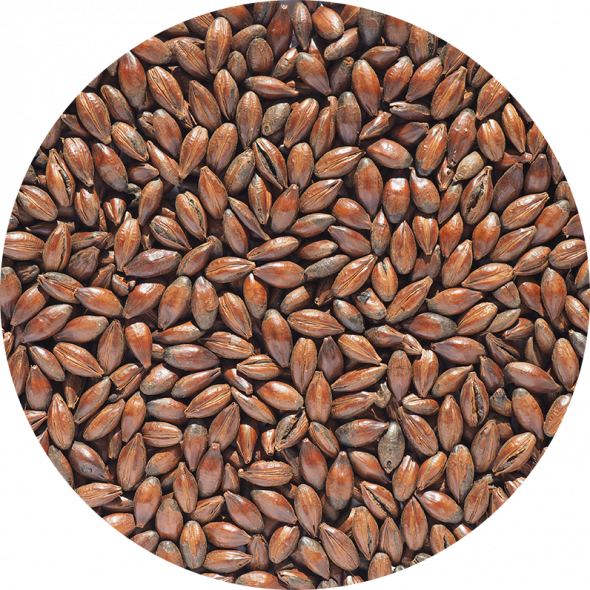 Chocolate (coffee) Malt