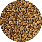 Amber Malt