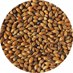 Brown Malt