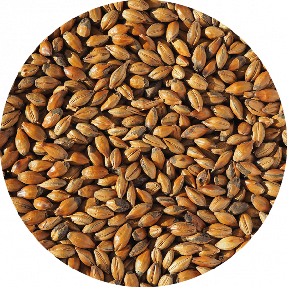 Brown Malt