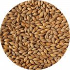 Extra Pale Maris Otter Malt