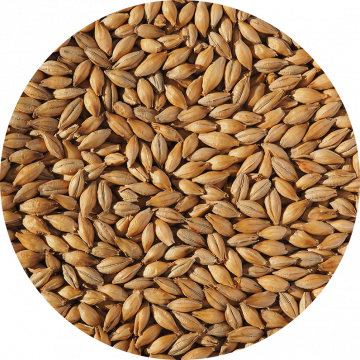 Extra Pale Maris Otter Malt