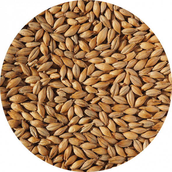 Extra Pale Maris Otter Malt