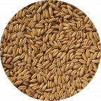 Naked Oat Malt