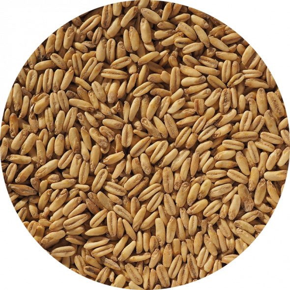 Naked Oat Malt
