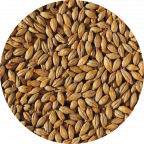 Dextrin Malt
