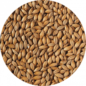 Europils Malt