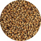 Extra-Light-Crystal-100-Malt