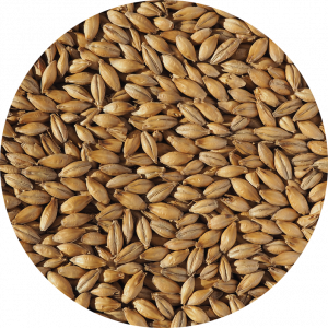 Extra Pale Malt