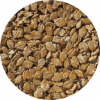 A close up of our Flaked Torrefied Barley - toasted barley flakes for brewing