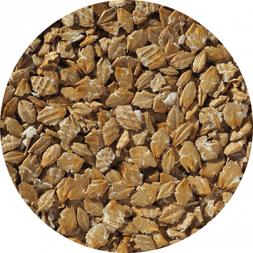 A close up of our Flaked Torrefied Barley - toasted barley flakes for brewing