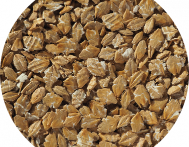 A close up of our Flaked Torrefied Barley - toasted barley flakes for brewing