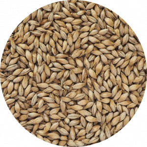 German Pilsen Malt