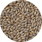 High Diastatic Power (HDP) Malt