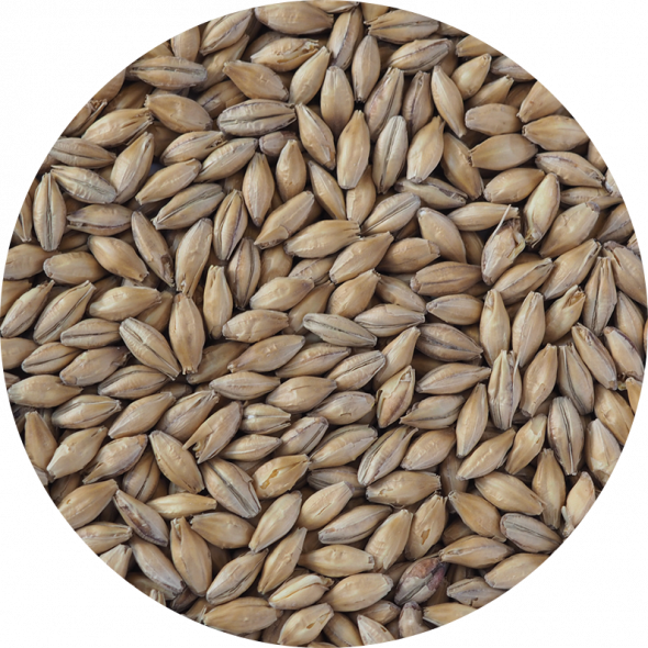 High Diastatic Power (HDP) Malt