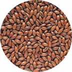 Low Colour Chocolate Malt