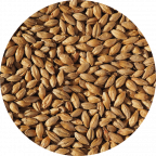 Haná Vienna Brewing Malt | Grains Product Image
