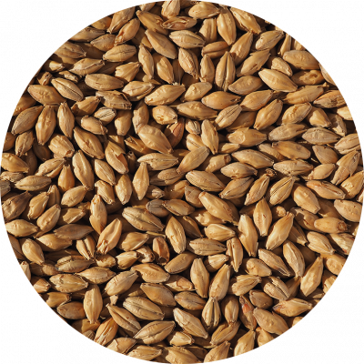 Haná Vienna Brewing Malt | Grains Product Image