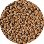 Wheat Malt