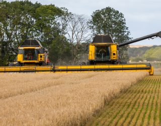 Scottish Barley Harvest for Crisp Malt