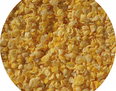 Flaked Torrefied Maize