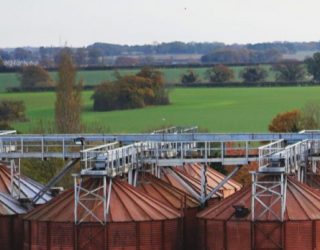 Crisp-Overhead-005-e1639392712994