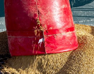 Crisp Malt Webinar Intros and CoAs