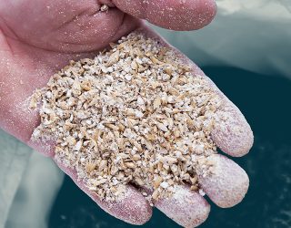 Crisp Malt Webinar Milling