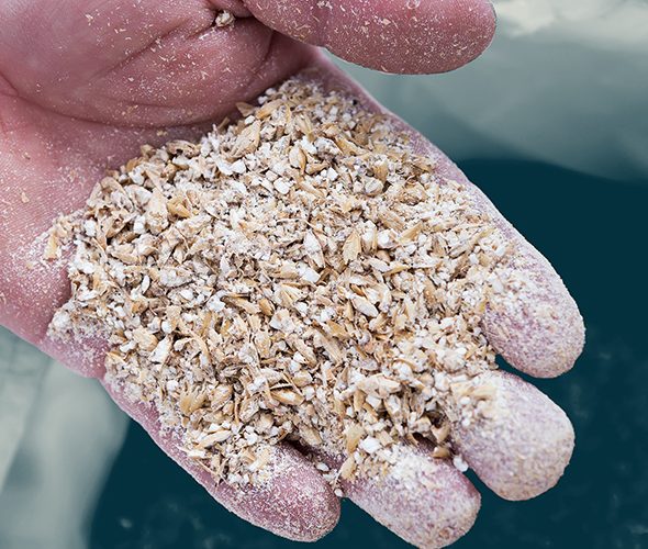 Crisp Malt Webinar Milling