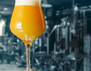 Crisp Malt Perfect East Coast IPA webinar