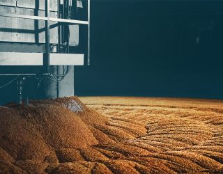 Crisp Malt Webinar The Quick Guide to Malting & Specialty Malts