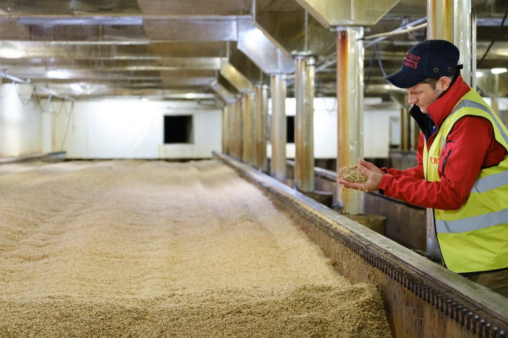 Malting process at Alloa, Scotland | Crisp Malt