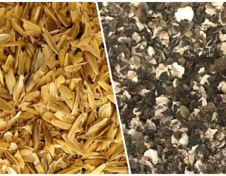 Rice Hulls and Flaked Torrefied Buckwheat Q & A's From Crisp Malt