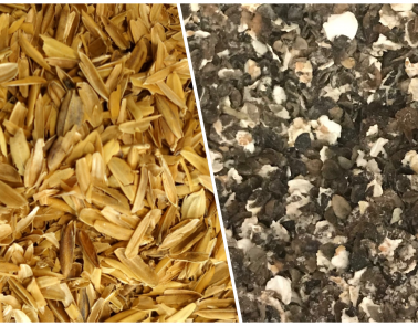 Rice Hulls and Flaked Torrefied Buckwheat Q & A's From Crisp Malt
