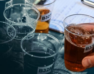 Crisp Malt No 16 Webinar Beer Tasting