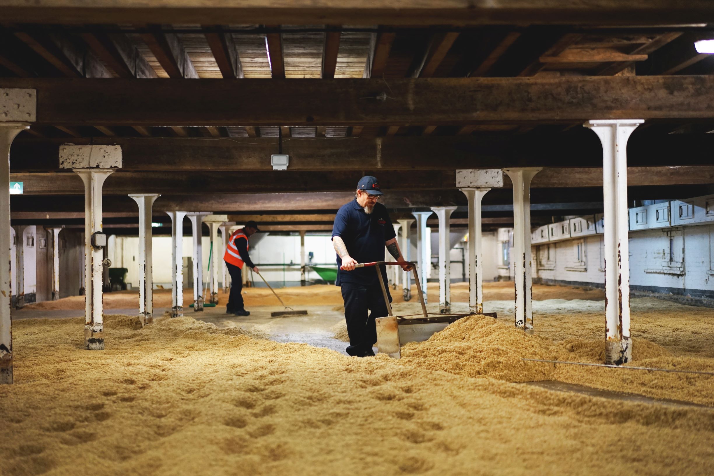 Traditional No 19 Floor Malt, at Crisp Maltings, Norfolk