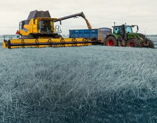 Crisp Malt Webinar | 2021 Barley Harvest and Grain Market