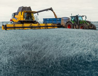 Crisp Malt Webinar | 2021 Barley Harvest and Grain Market