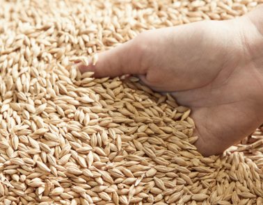 Cost Saving In Breweries - Mike Bensons Top Tips