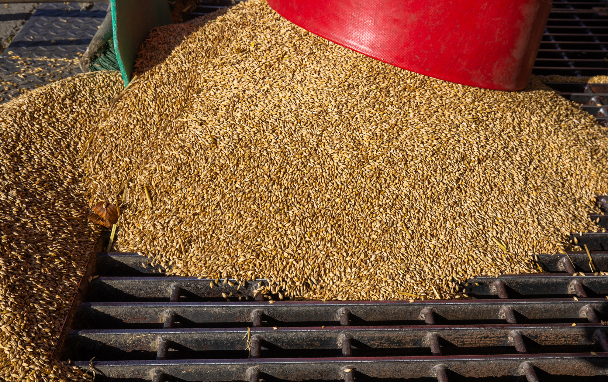 Cost Saving In Breweries - malt storage