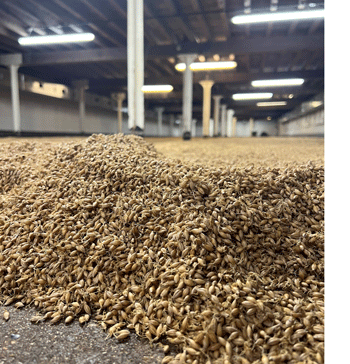 Malt-on-Floors