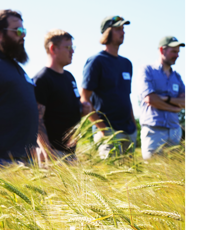 Group of men standing looking at crops in field