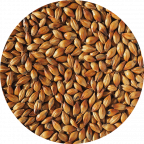 Crystal Malt