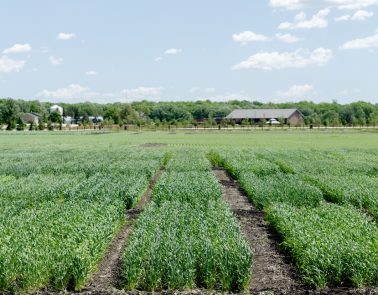 Sustainability Hub Reports Header iamge