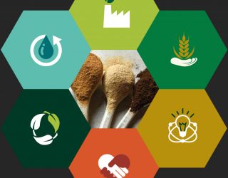 Crisp Malt Sustainability Report 2023, cover image. Making Sustainable Attainable